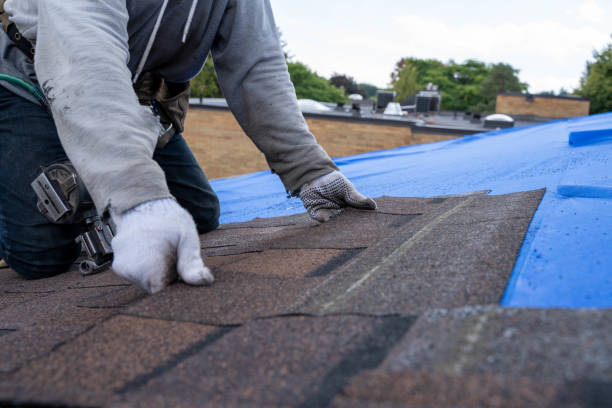 Best Flat Roof Repair Services  in Lakeport, TX
